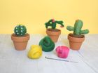 Mini Cactus Needle Felting Kit